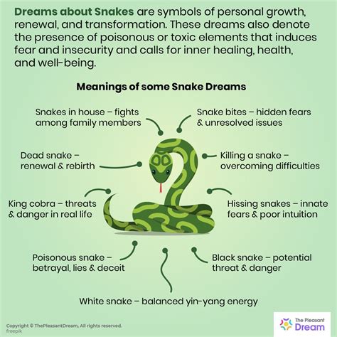 Snakes and Personal Transformation: A Dream Analysis