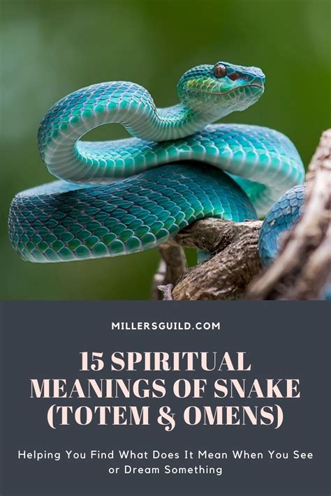 Snakes as Guides: Revealing the Spiritual Significance