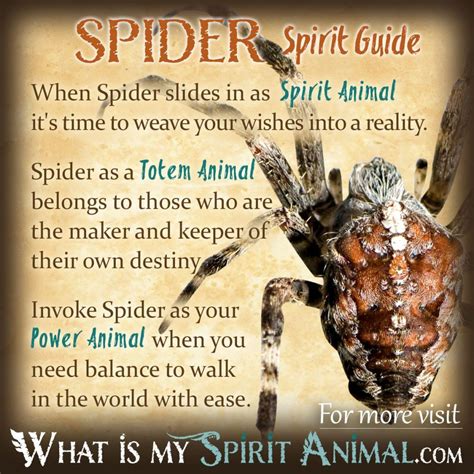 Spider Symbolism in Ancient Mythology: A Closer Look