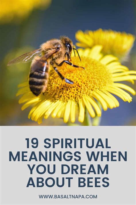 Spiritual Insights into Dreams Featuring Lifeless Bees