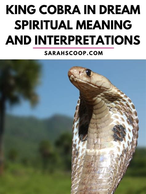 Spiritual Interpretations: Cobras as Spiritual Guides or Warnings