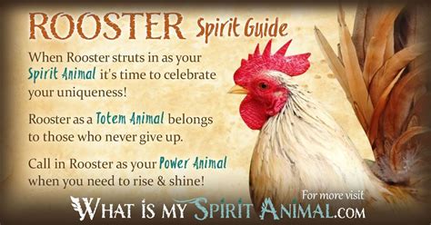 Spiritual Messengers: The Symbolic Presence of Roosters