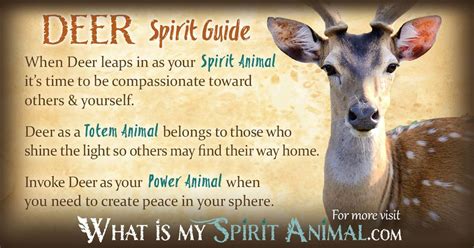 Spiritual Significance of a Deer Fawn in Dream: Interpreting its Essence as a Spirit Animal or Guide