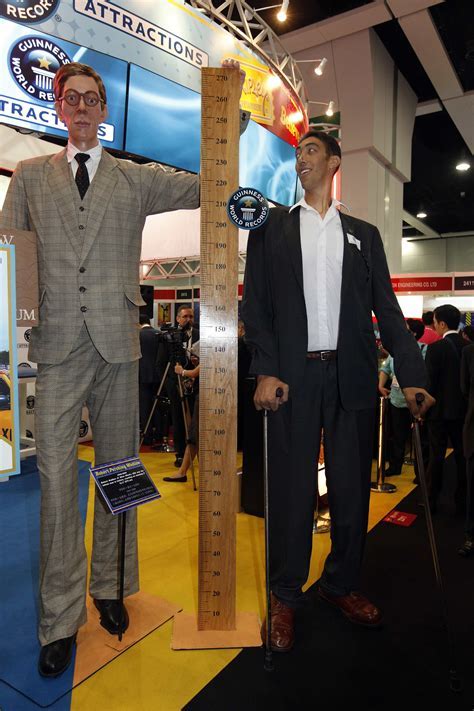 Standing Tall: Height Measurements Revealed