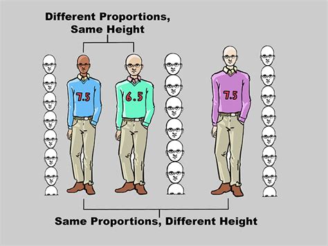 Standing Tall: The Height Element