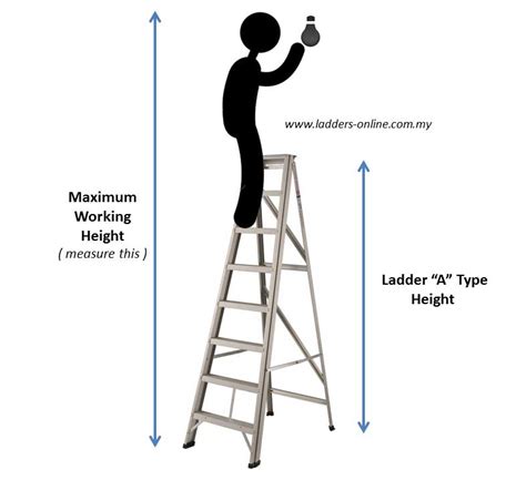 Standing Tall: The Height Factor