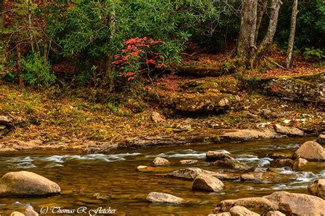 Standing Tall: The Height of Amanda River