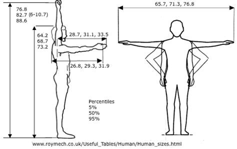 Standing Tall: The Vertical Dimension of Patsy Babe