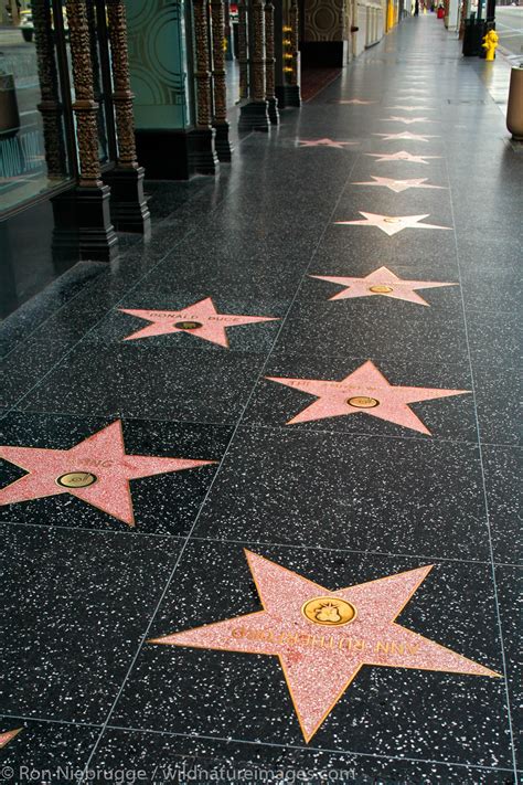 Star on the Hollywood Walk of Fame