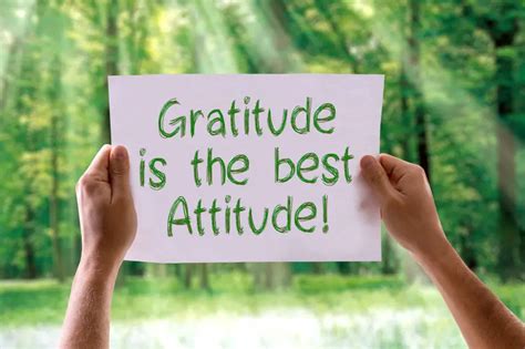 Stay Positive and Grateful: Foster an Attitude of Abundance