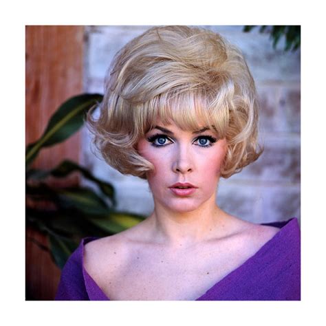 Stella Stevens' Current Lifestyle and Interests