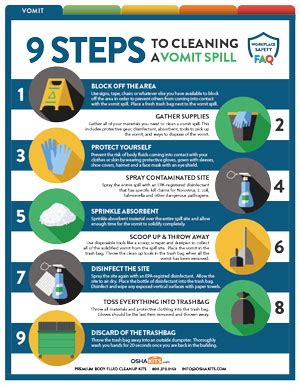Step-by-Step Guide for Cleaning Vomit