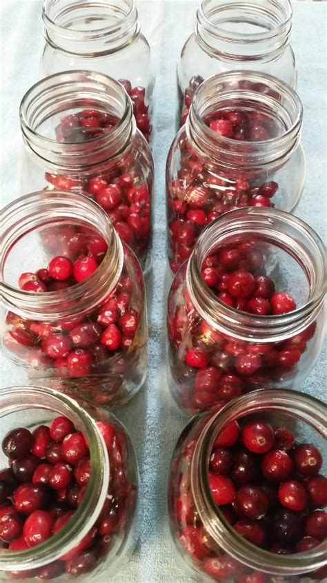 Storing and Preserving Cranberry Juice: Tips for Prolonging its Freshness