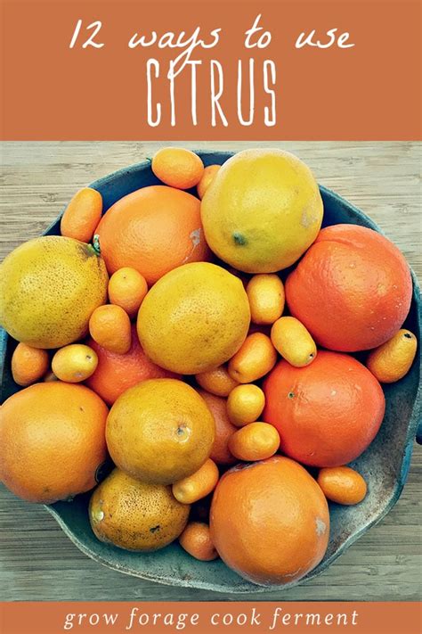 Storing and Preserving Your Citrus Harvest for Optimal Freshness