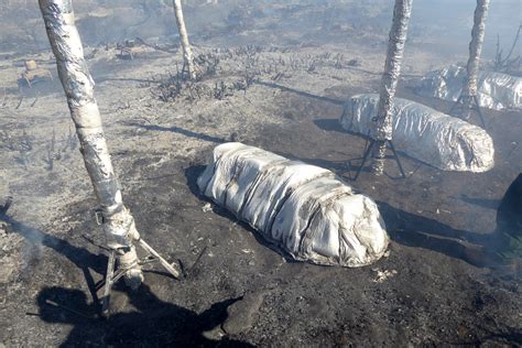 Strategies for Taking Shelter amid a Forest Blaze