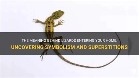 Superstitions and Omens: The Meaning Behind the enigmatic Dark Lizard