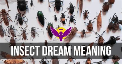 Surprising Origins of the Symbolic Significance in Insect Dreams