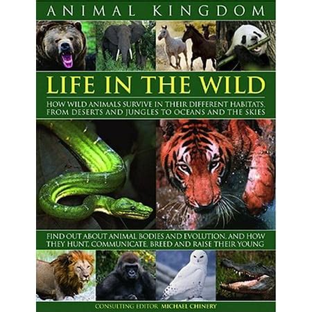 Survival Strategies in the Wild: Strategies for Survival in the Animal Kingdom