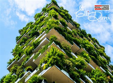 Sustainable Design and Eco-friendly Initiatives in High-rise Structures