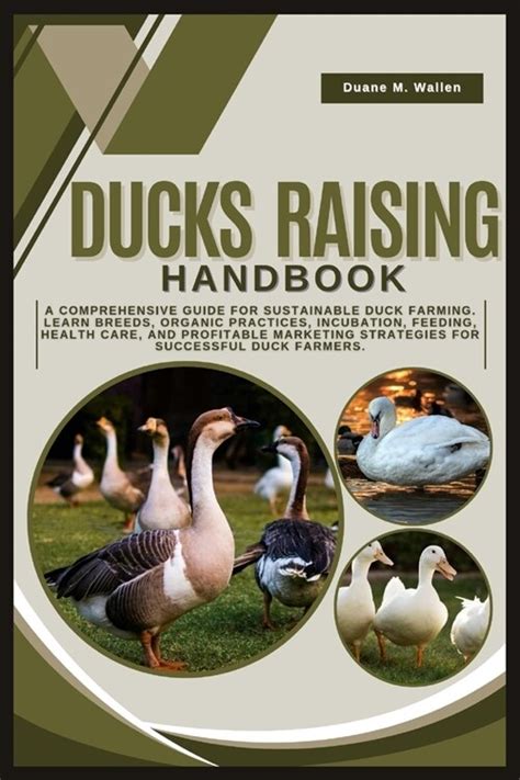 Sustainable Duck Feeding Practices: Tips for a Thriving Duck Population