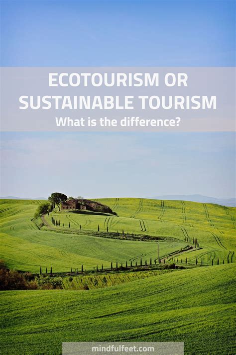 Sustainable Tourism: Guided Tours with a Positive Impact