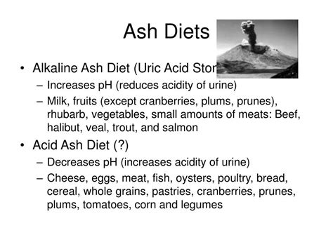 Sweet Ass Ash's Diet Secrets