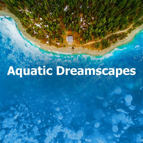 Swept Away: Exploring the Emotional Impact of Aquatic Dreamscapes