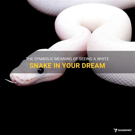 Symbolic Meaning of White Snakes in Dreams