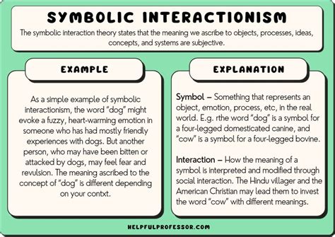 Symbolic Representations: What Actions and Interactions Convey