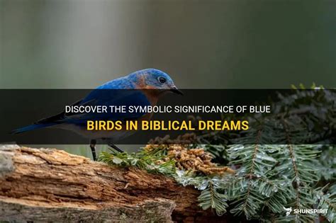 Symbolic Significance of Birds in Dreams