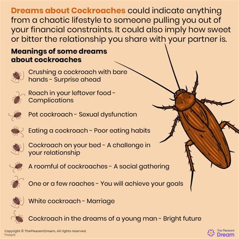 Symbolic Significance of Cockroaches in Dream Imagery