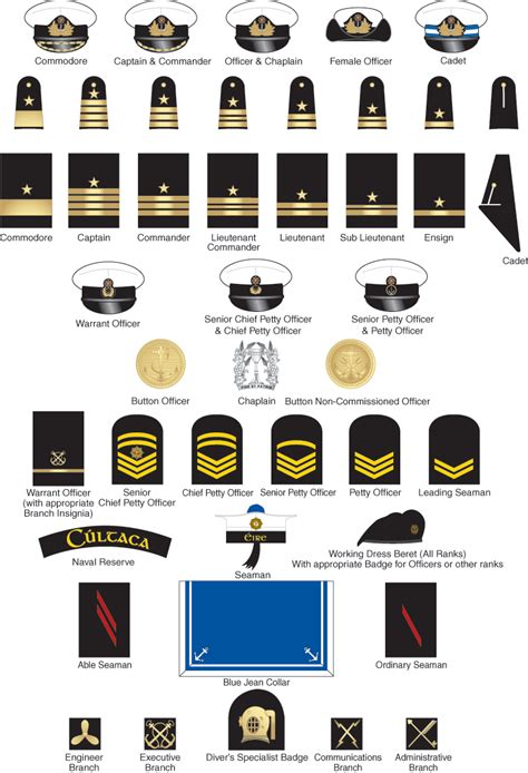 Symbolism Beyond the Seas: Unveiling the Meanings Encoded in Navy Uniform Insignias