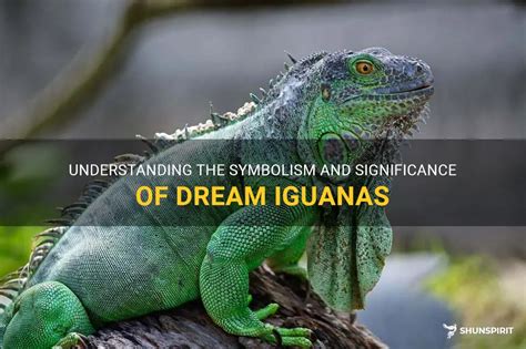 Symbolism of Iguanas in Dreams