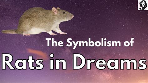 Symbolism of Rat Excrement in Dreams