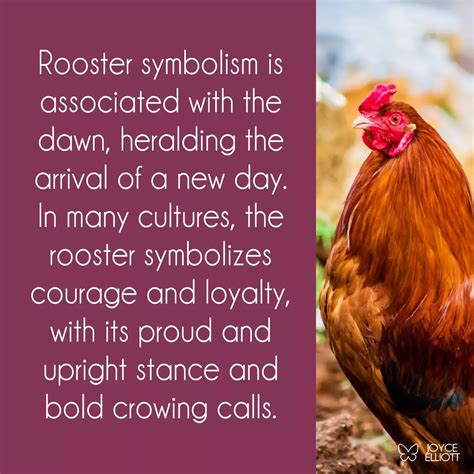 Symbolism of Roosters in Various Cultures