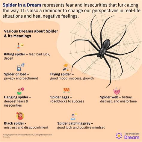 Symbolism of Spiders in Dreams