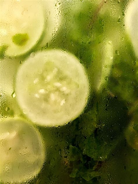 Symbols of Fertility and Growth: Exploring the Significance behind Cucumber Dreams