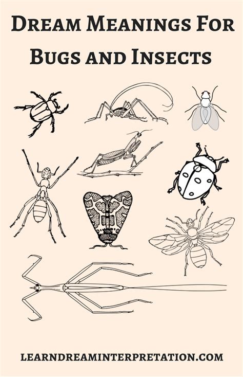 Symbols of Insects in Dream Interpretation