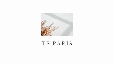 TS Paris's Net Worth and Earnings