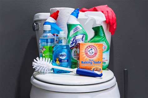 Tackle the Toilet: Scrub and Disinfect