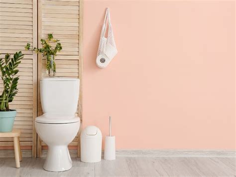 Tackling Toilet Troubles: Pointers and Techniques for a Seamless Plumbing Journey