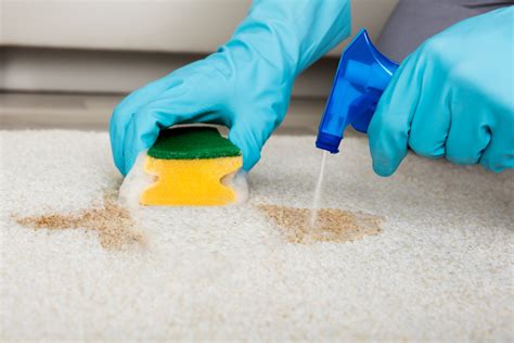 Tackling Tough Stains: Floor Wax as a Protective Barrier