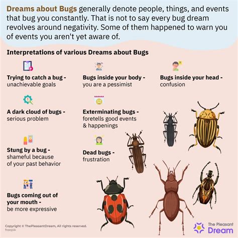 Taking Action: Steps to Take After Experiencing a Dream Involving Insects Inside Your Bag