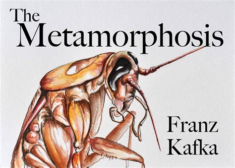 Tales of Metamorphosis and Curative Effects Linked to the Fragment