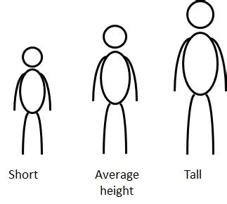 Tall, Short, or Average Height?