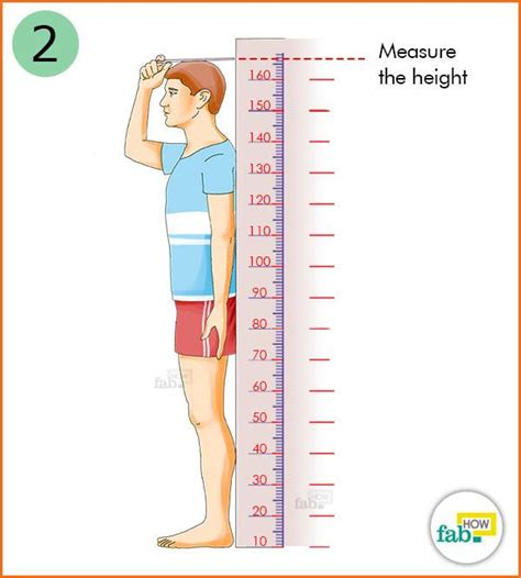 Tall Stature: How Does Monika Measure Up?