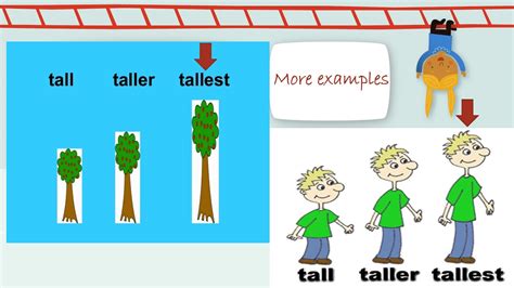 Taller Than Most