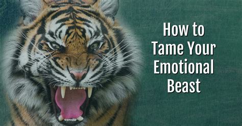 Taming the Beast: Tips for Controlling Your Nightmares