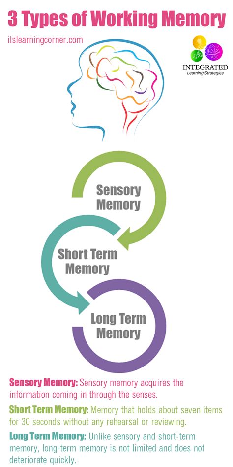 Tapping into Past Experiences: Analyzing the Connection Between Memories and Receptacles for Liquid