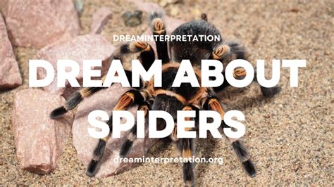 Tarantulas in Dreams: Revealing the Enigmas